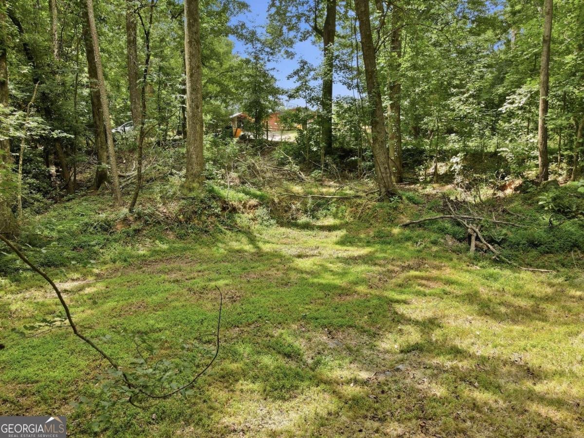 365 Kendrix Road Sugar Hill - Photo 40