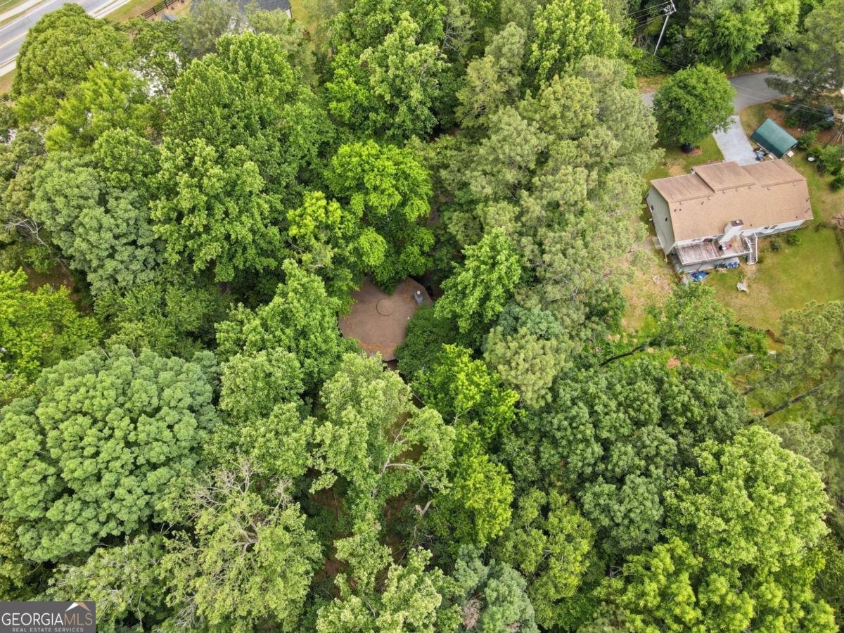 365 Kendrix Road Sugar Hill - Photo 44