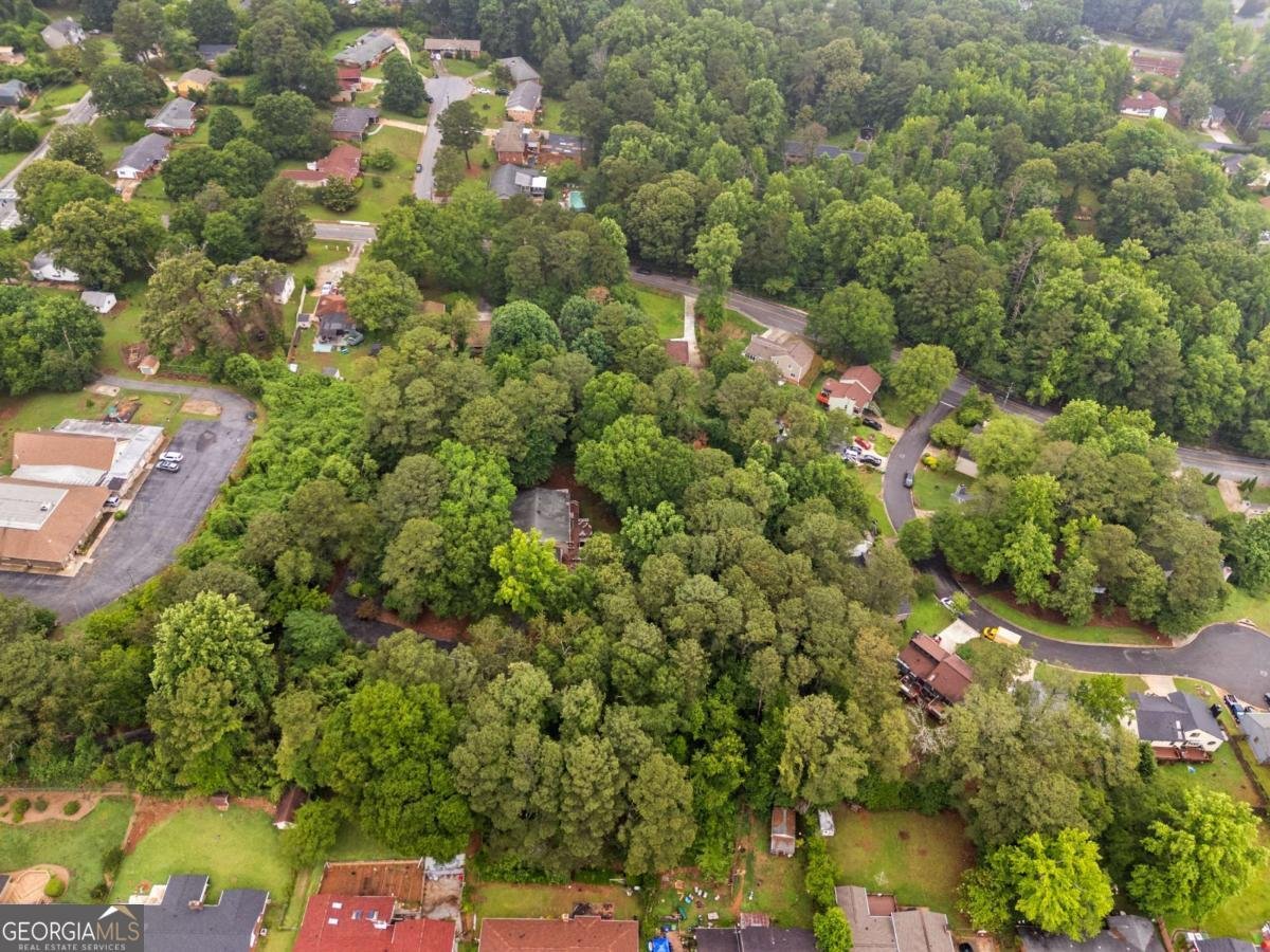 1025 Rays Road Stone Mountain - Photo 46