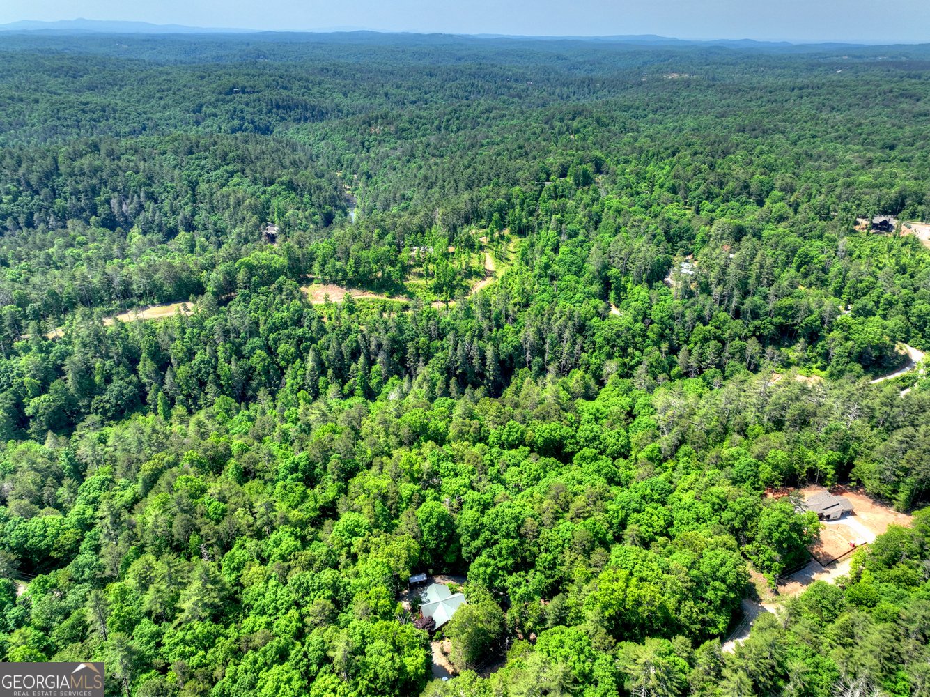 141 Gallery Court Ellijay - Photo 57