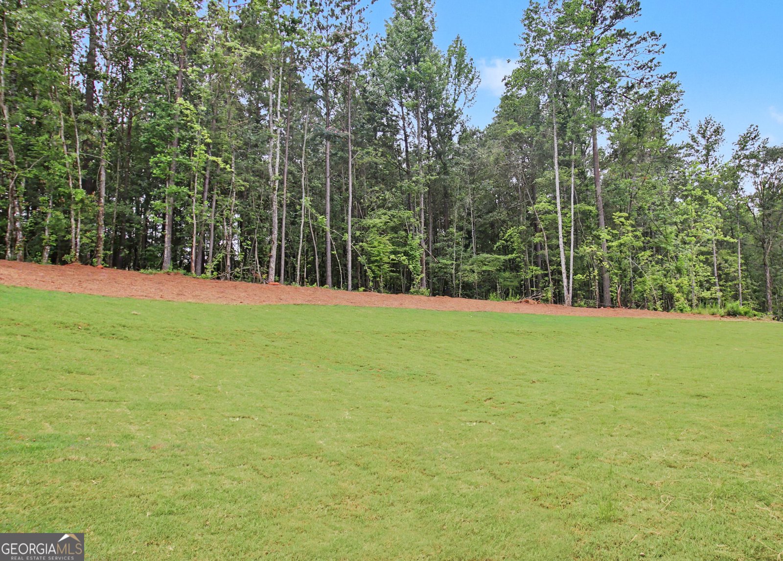 124 Ryeland Drive Senoia - Photo 64