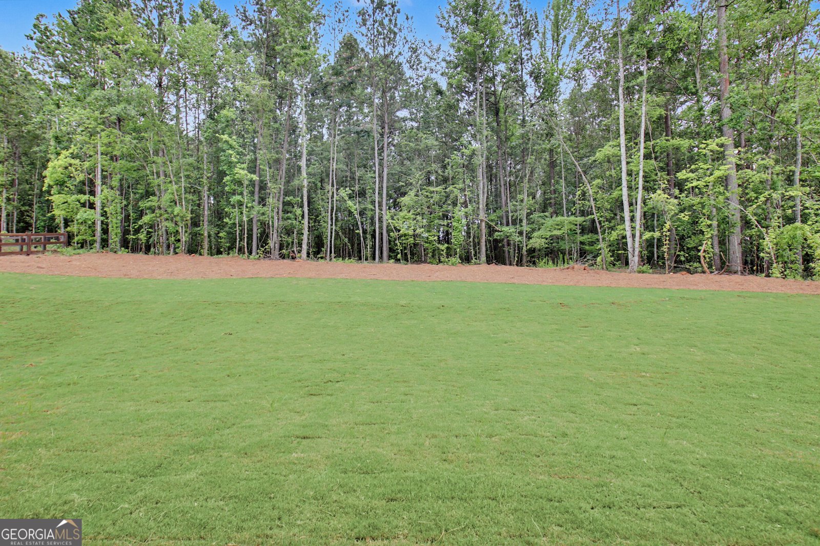 124 Ryeland Drive Senoia - Photo 69
