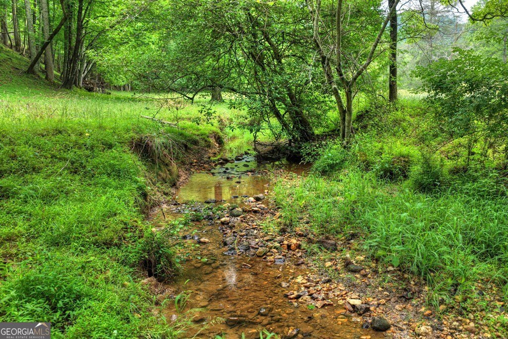 20.11 AC Mountain View Road Mccaysville - Photo 10