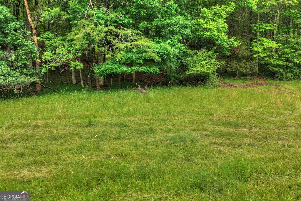20.11 AC Mountain View Road Mccaysville - Photo 11