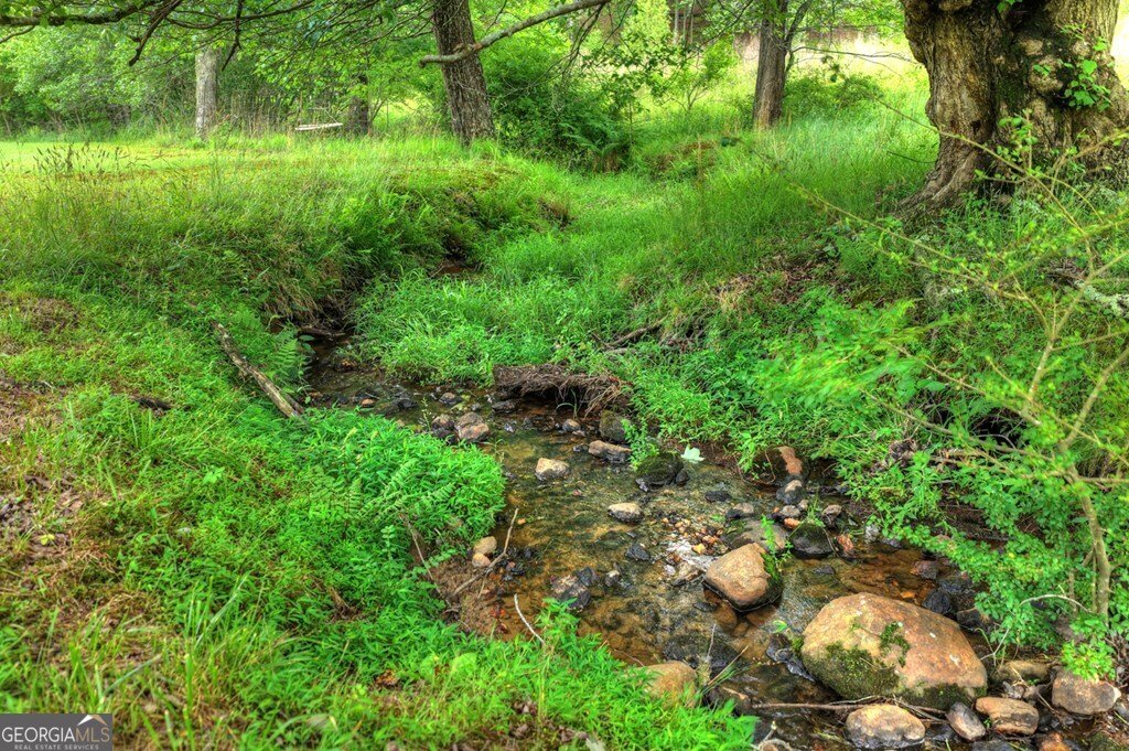 20.11 AC Mountain View Road Mccaysville - Photo 16