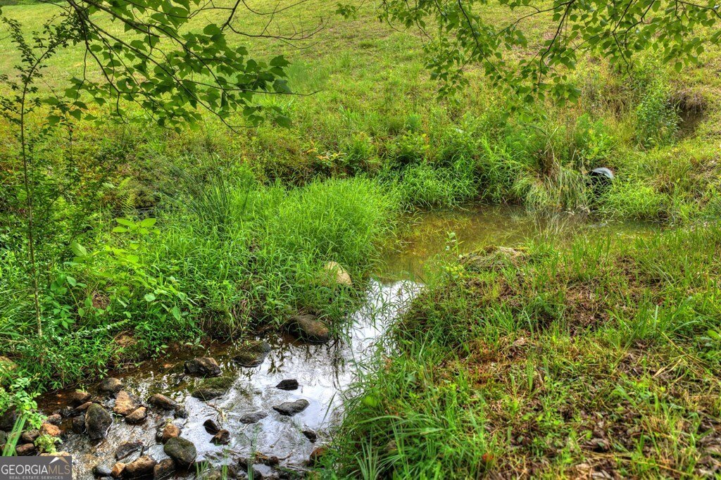 20.11 AC Mountain View Road Mccaysville - Photo 17