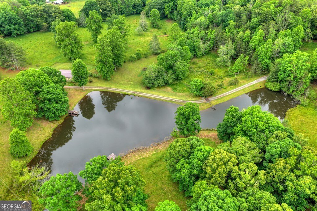 20.11 AC Mountain View Road Mccaysville - Photo 20