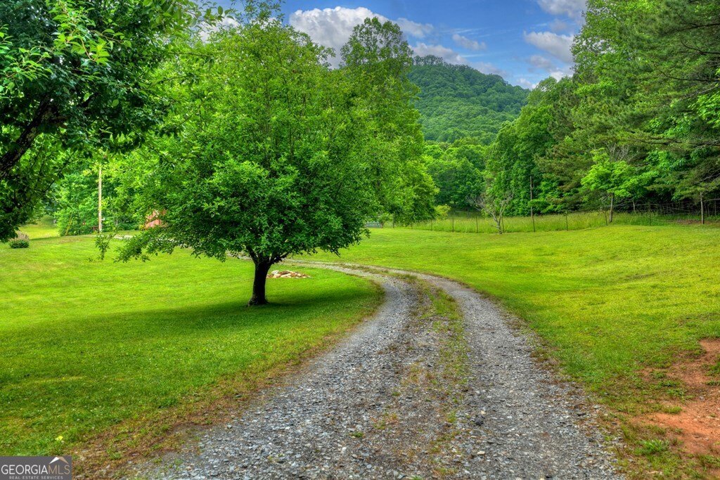 20.11 AC Mountain View Road Mccaysville - Photo 23