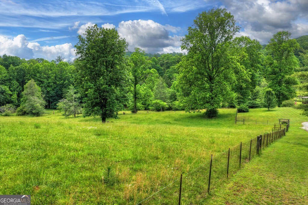 20.11 AC Mountain View Road Mccaysville - Photo 24