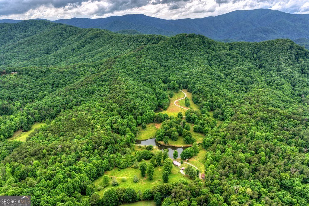 20.11 AC Mountain View Road Mccaysville - Photo 25