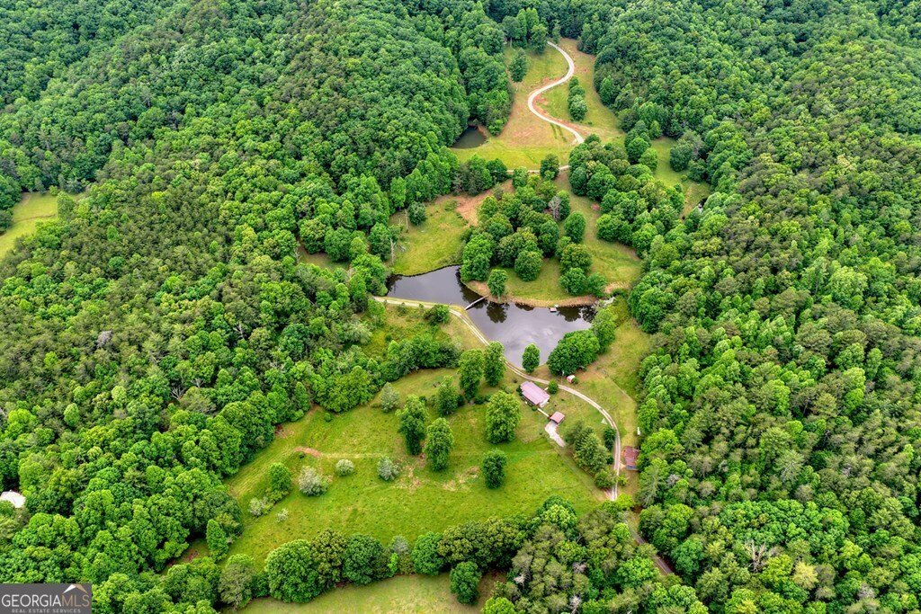 20.11 AC Mountain View Road Mccaysville - Photo 26