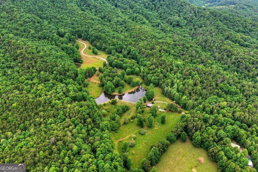 20.11 AC Mountain View Road Mccaysville - Photo 27