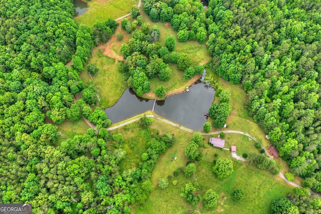 20.11 AC Mountain View Road Mccaysville - Photo 28