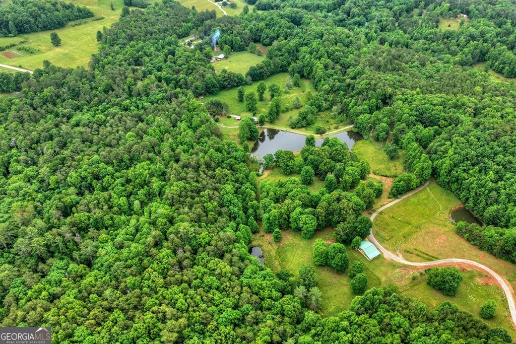 20.11 AC Mountain View Road Mccaysville - Photo 29