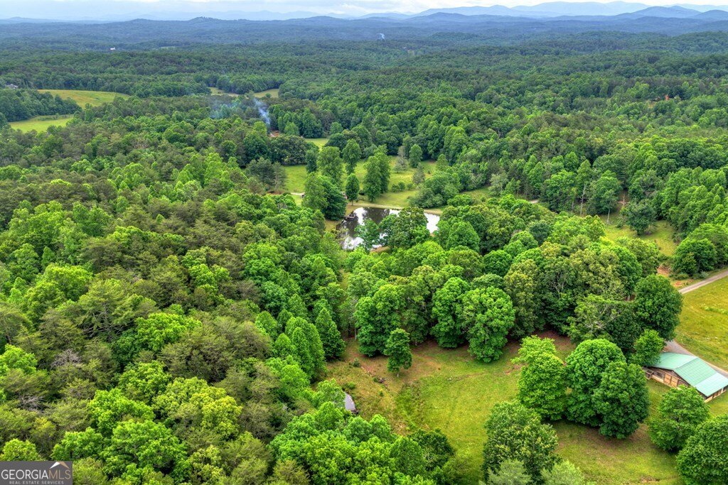 20.11 AC Mountain View Road Mccaysville - Photo 30