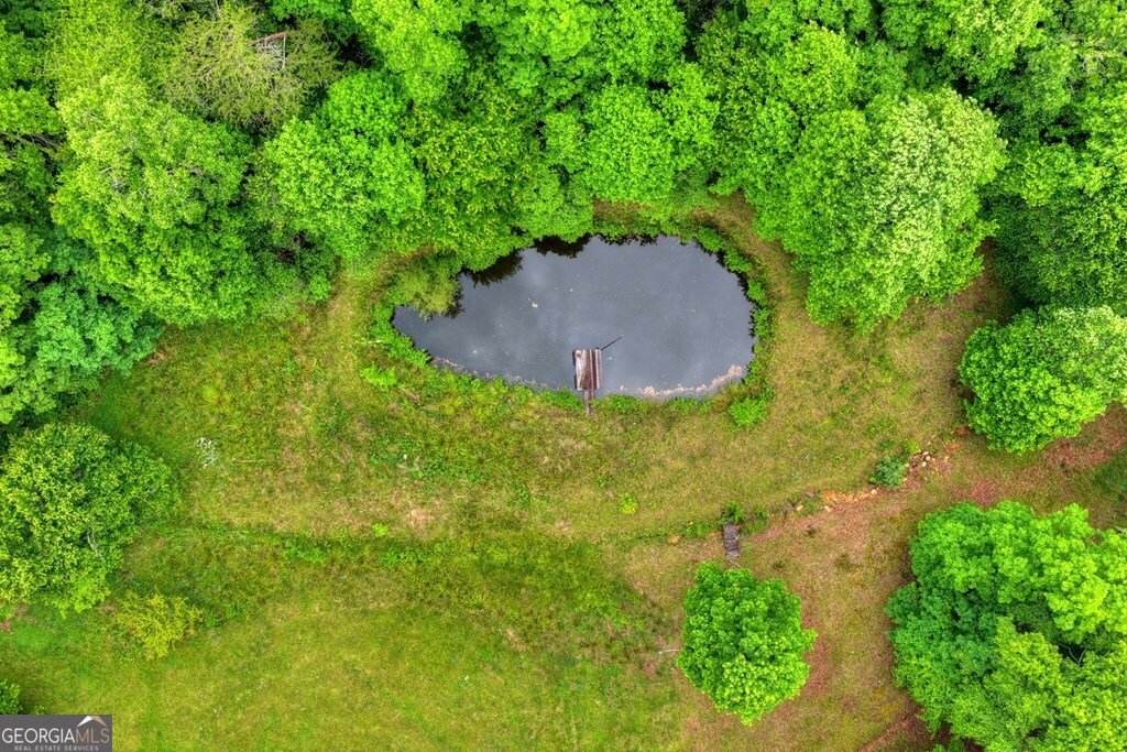 20.11 AC Mountain View Road Mccaysville - Photo 31