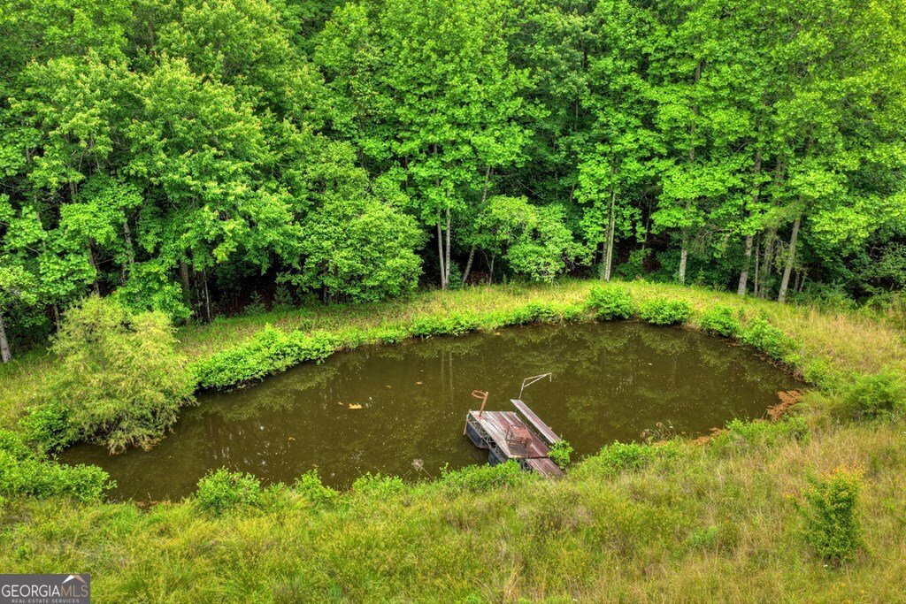 20.11 AC Mountain View Road Mccaysville - Photo 32
