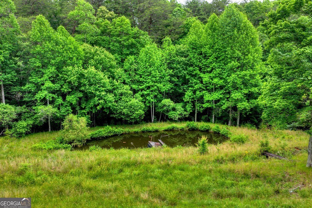 20.11 AC Mountain View Road Mccaysville - Photo 33