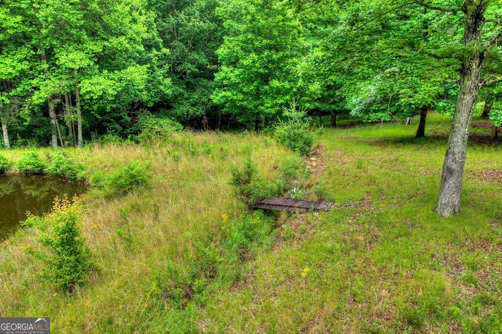 20.11 AC Mountain View Road Mccaysville - Photo 34