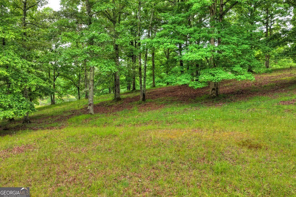 20.11 AC Mountain View Road Mccaysville - Photo 35