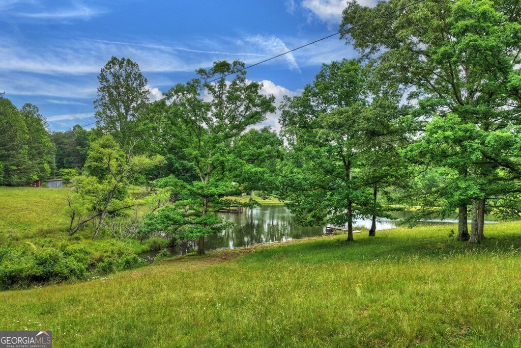 20.11 AC Mountain View Road Mccaysville - Photo 36