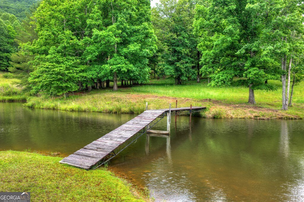 20.11 AC Mountain View Road Mccaysville - Photo 39