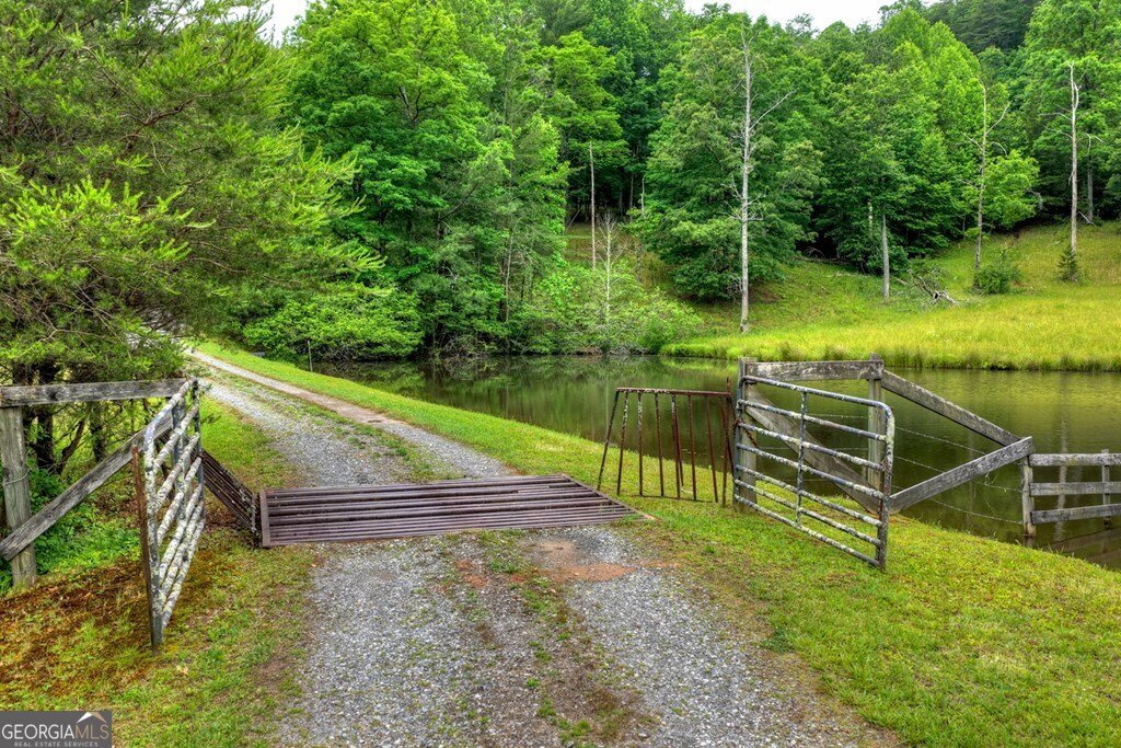 20.11 AC Mountain View Road Mccaysville - Photo 40
