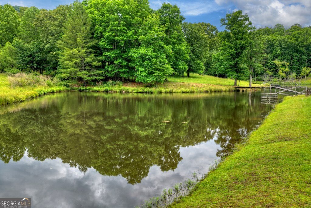 20.11 AC Mountain View Road Mccaysville - Photo 41
