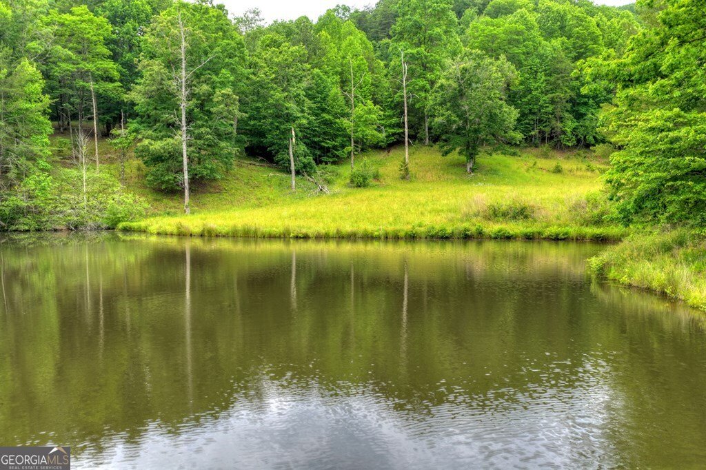 20.11 AC Mountain View Road Mccaysville - Photo 43