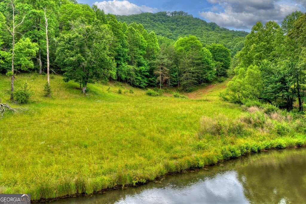 20.11 AC Mountain View Road Mccaysville - Photo 44