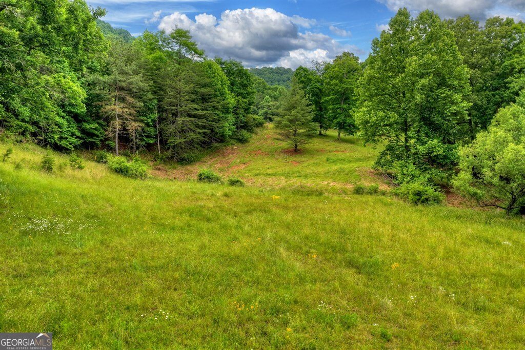 20.11 AC Mountain View Road Mccaysville - Photo 45