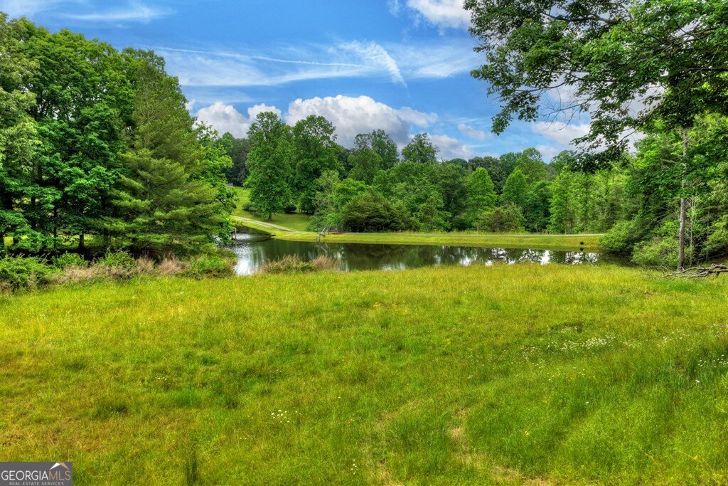 20.11 AC Mountain View Road Mccaysville - Photo 46