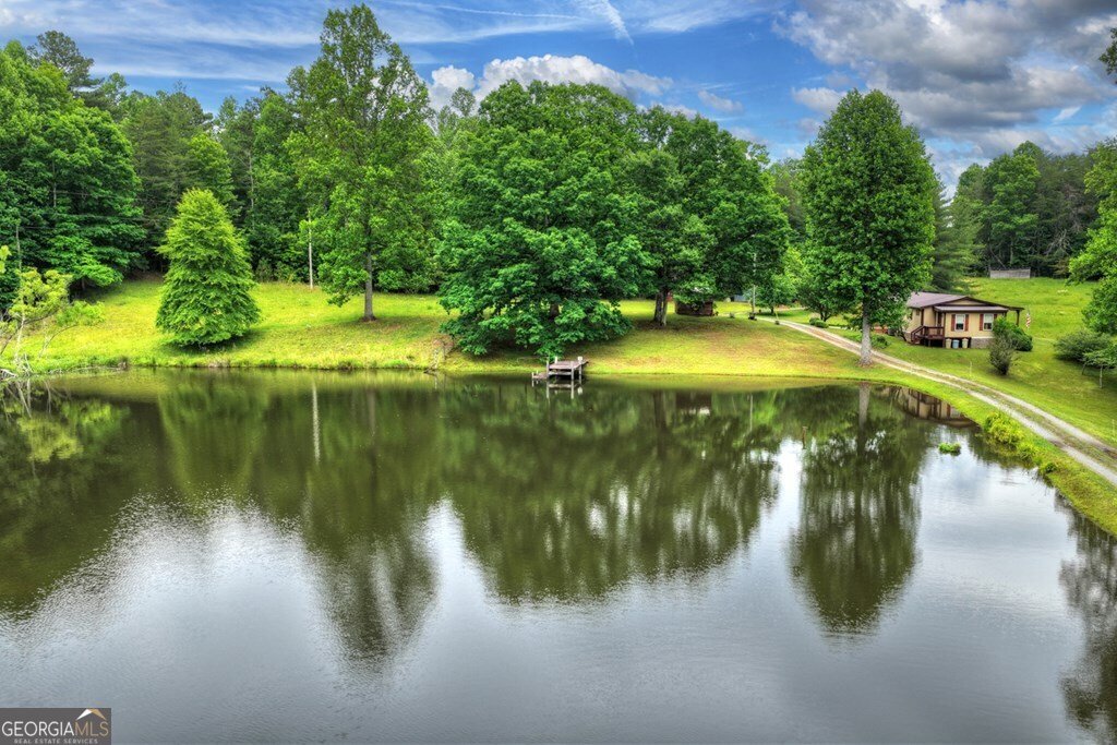 20.11 AC Mountain View Road Mccaysville - Photo 47