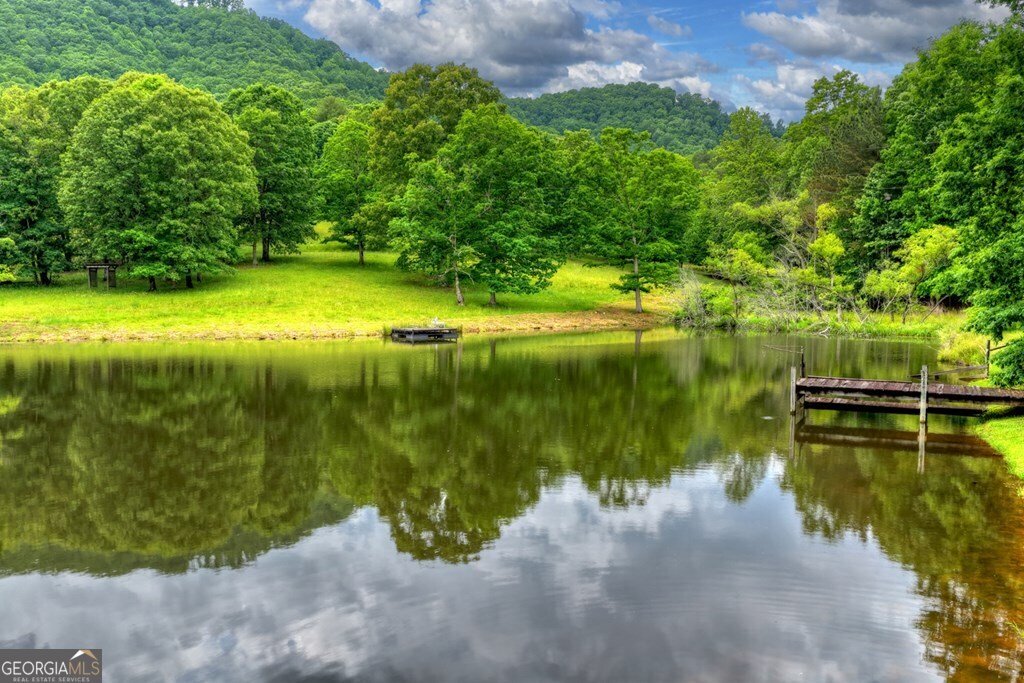20.11 AC Mountain View Road Mccaysville - Photo 48
