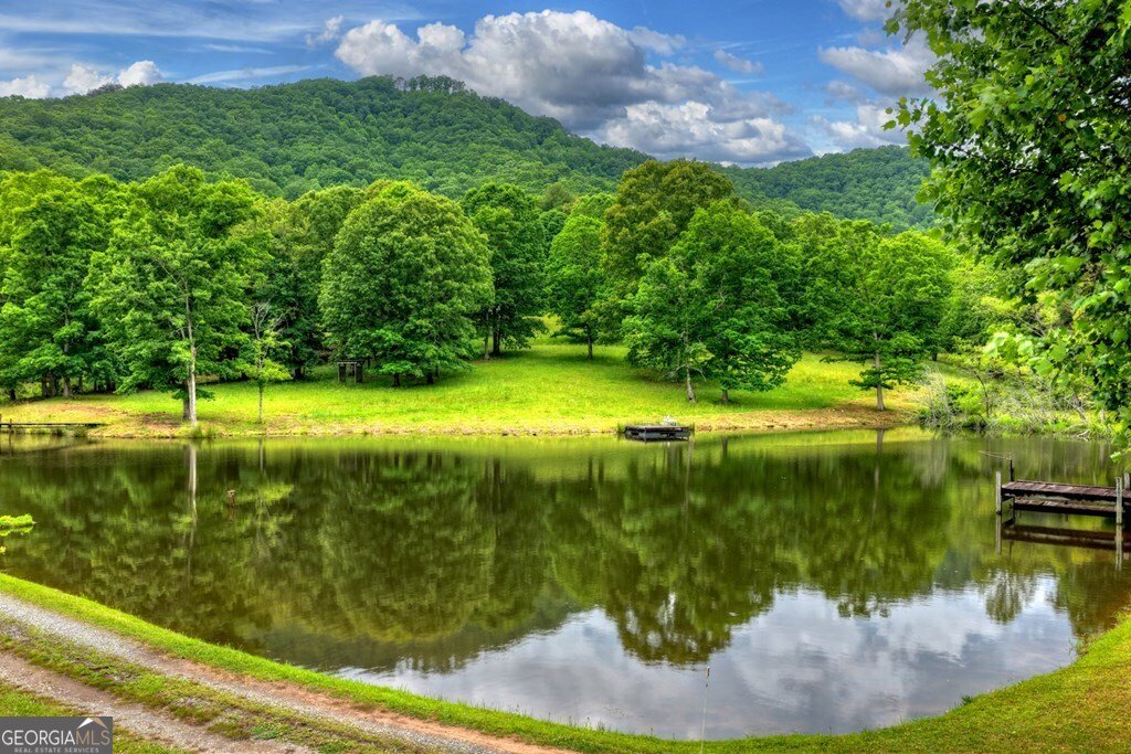 20.11 AC Mountain View Road Mccaysville - Photo 49
