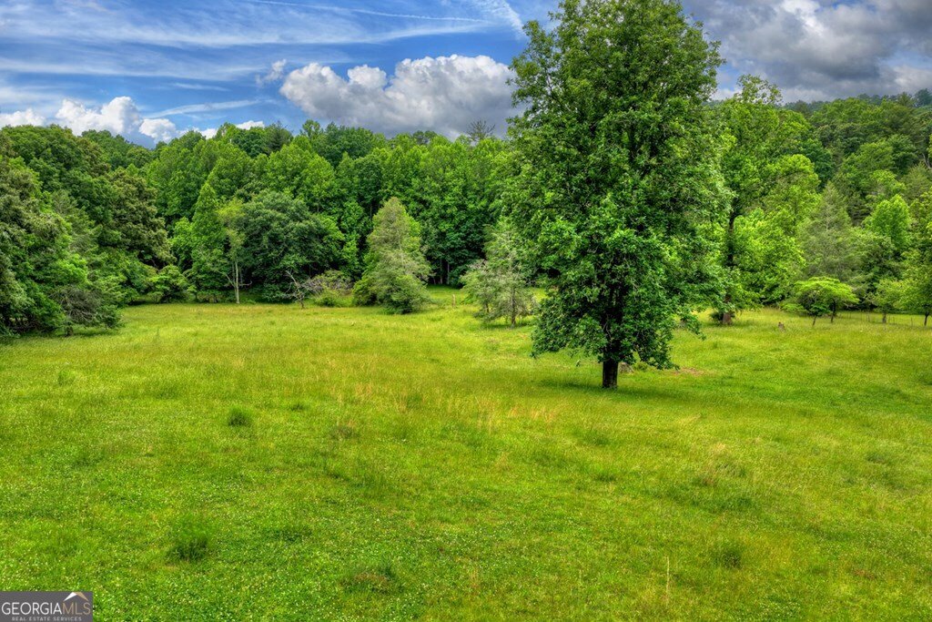 20.11 AC Mountain View Road Mccaysville - Photo 6