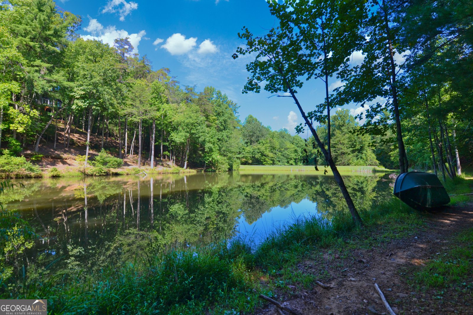 241 Walnut Mountain Road Ellijay - Photo 44