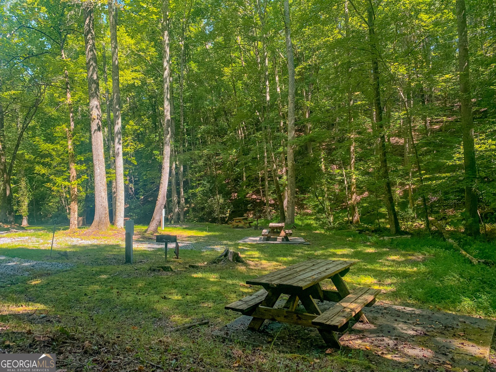 241 Walnut Mountain Road Ellijay - Photo 52