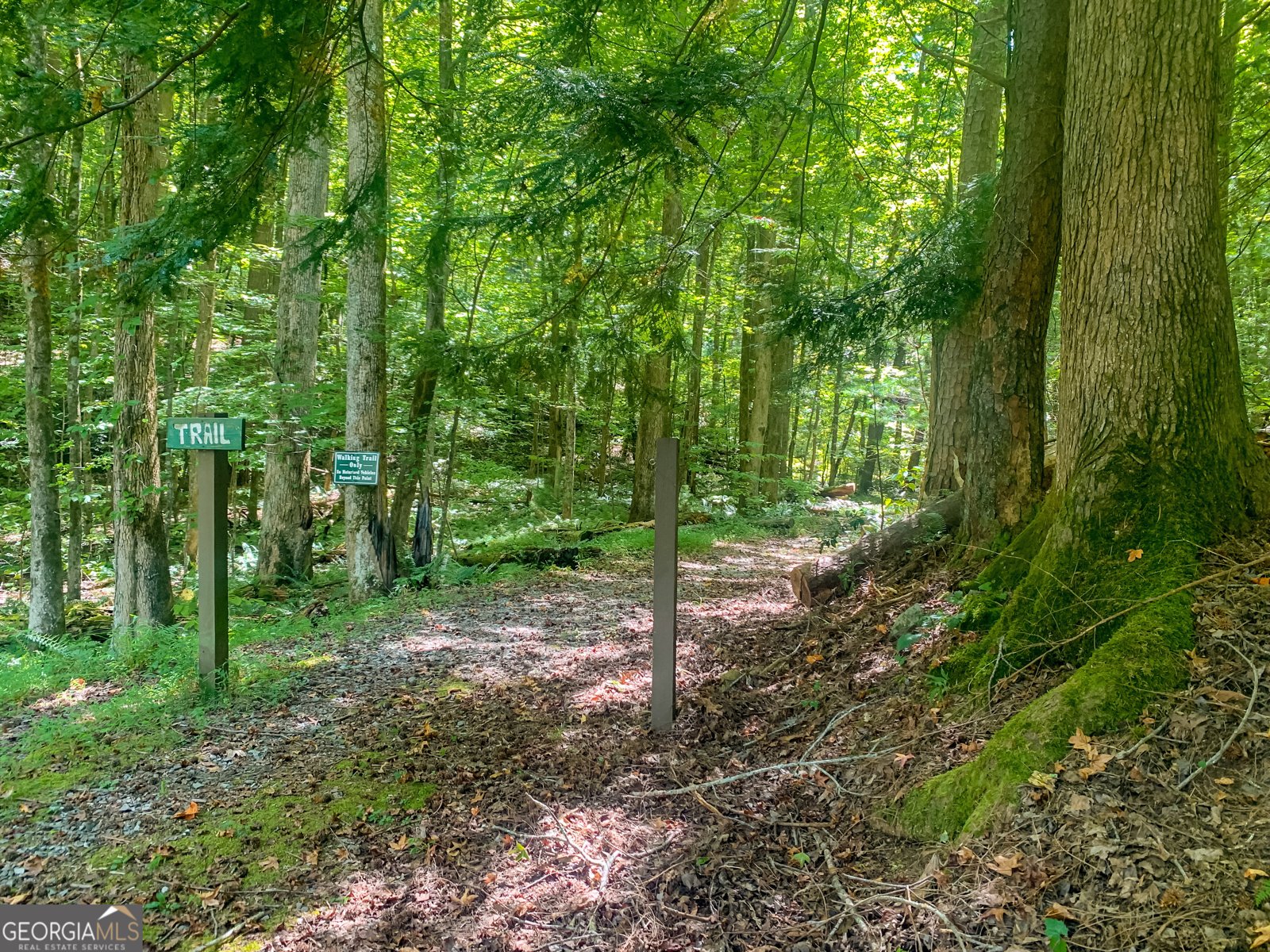 241 Walnut Mountain Road Ellijay - Photo 53