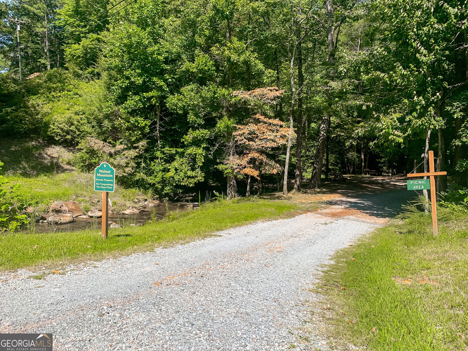 241 Walnut Mountain Road Ellijay - Photo 54