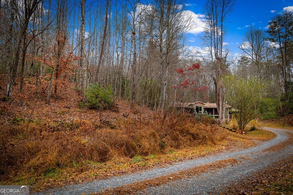 208 Bullen Gap Road Blue Ridge - Photo 42