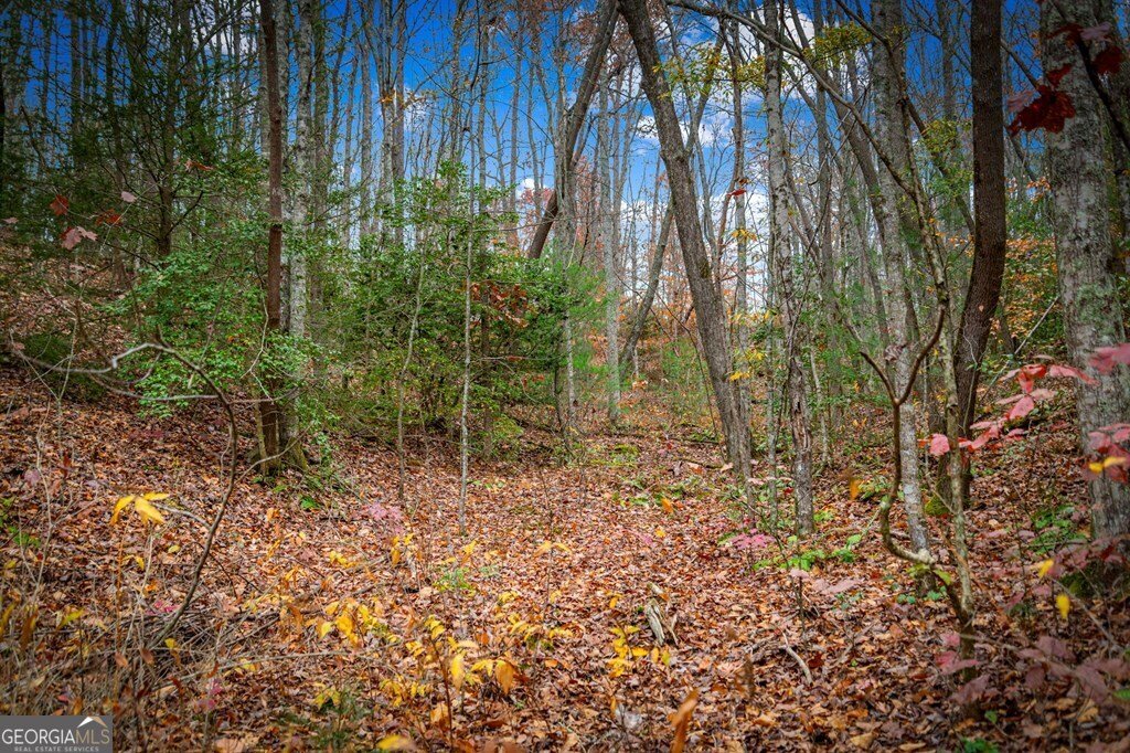 208 Bullen Gap Road Blue Ridge - Photo 50