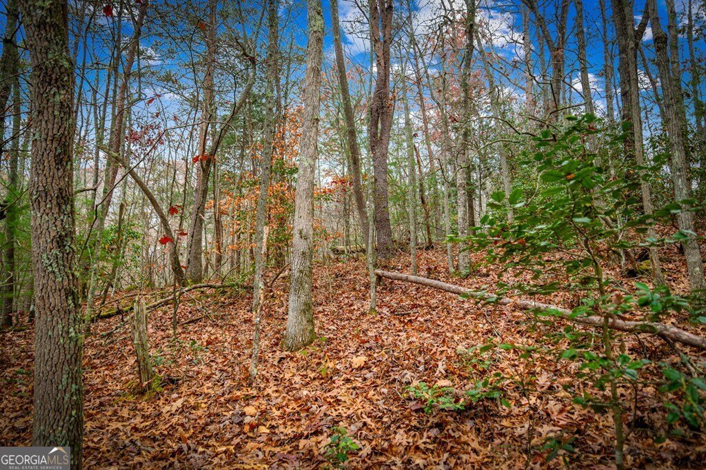 208 Bullen Gap Road Blue Ridge - Photo 52