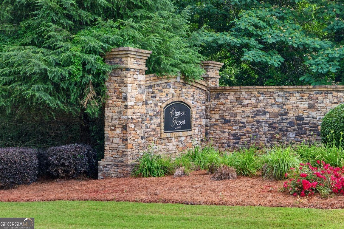 4827 Ardmore Lane Hoschton - Photo 49