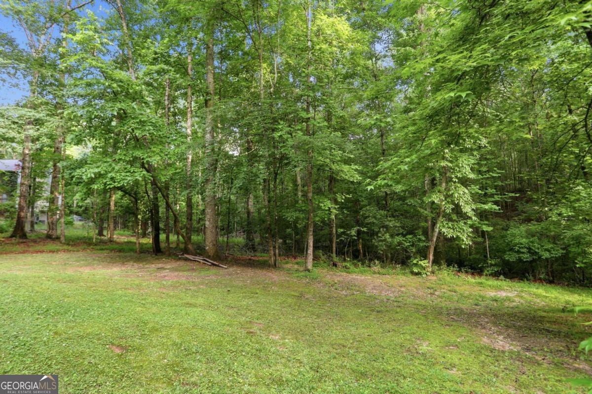 105 Woodsong Court Fayetteville - Photo 34