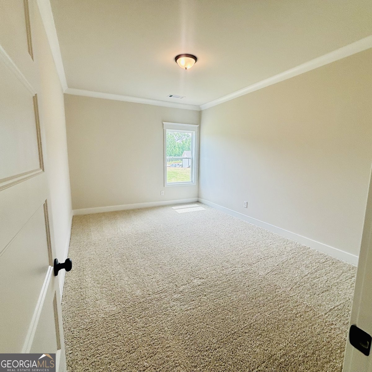 326 Scarlett Rose Way Hoschton - Photo 10