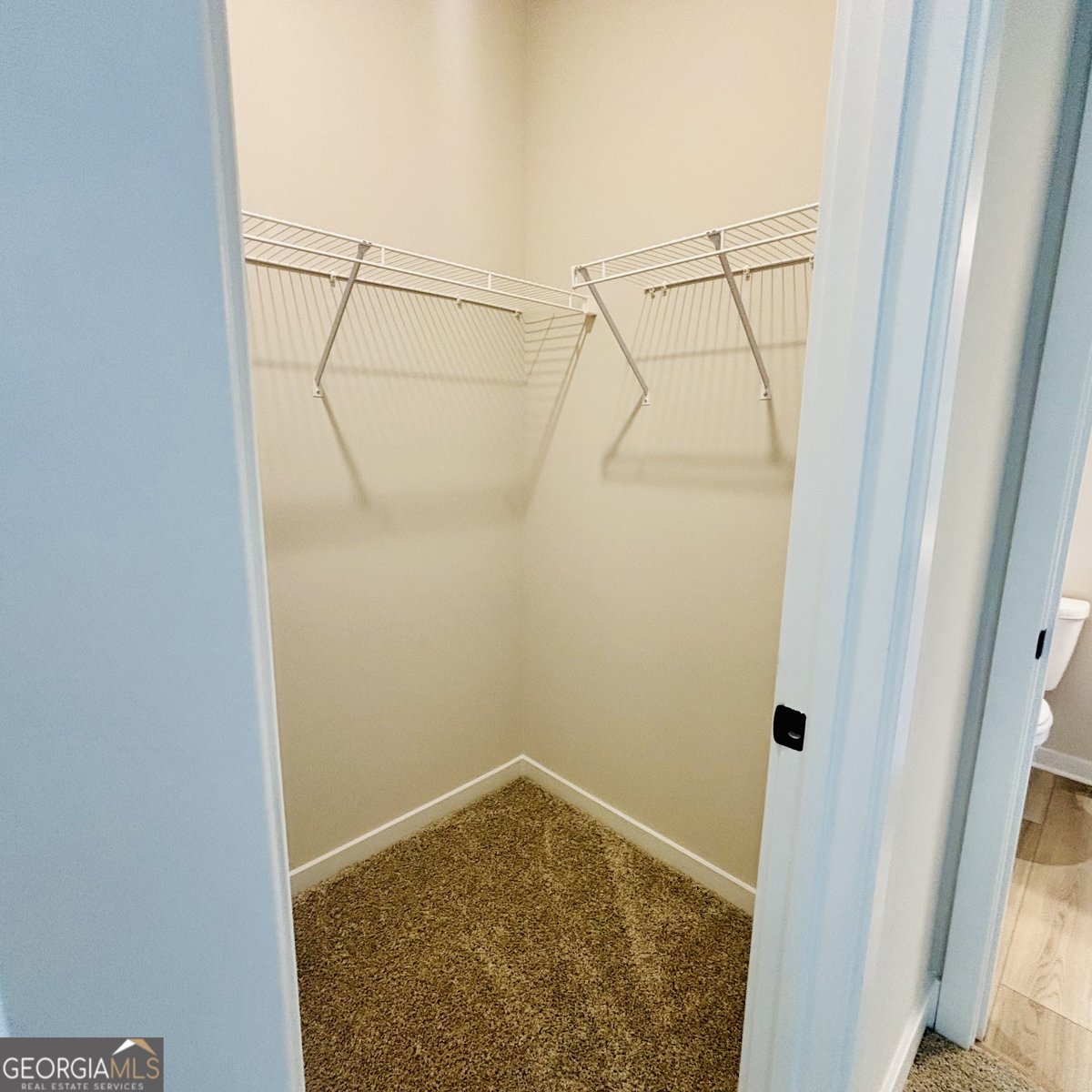 326 Scarlett Rose Way Hoschton - Photo 11