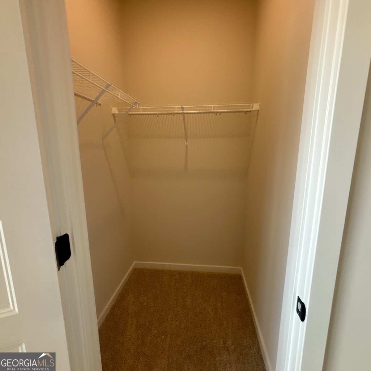 326 Scarlett Rose Way Hoschton - Photo 32