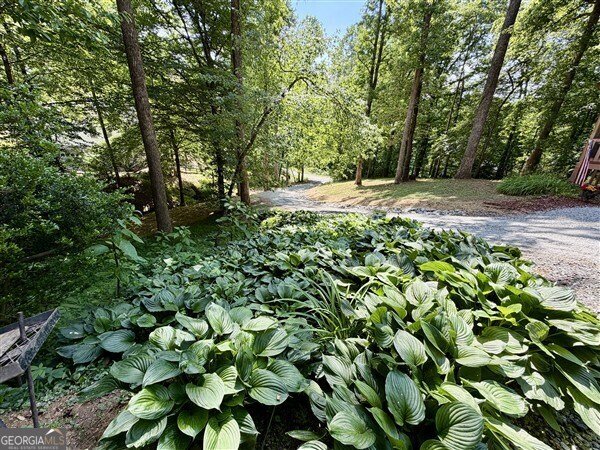 238 Trails End Road Blue Ridge - Photo 27