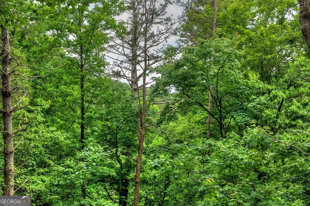 514 Shenendoa Drive Ellijay - Photo 15